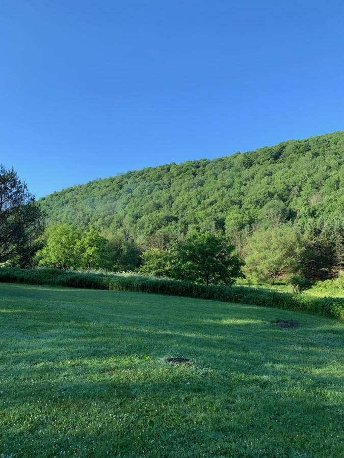 The Maples Apt - King Bed, Pet Friendly, Beautiful Views Ellicottville Bagian luar foto